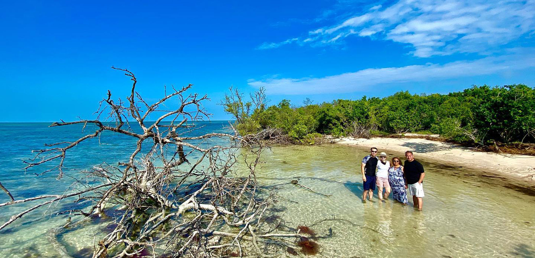 key west sandbar charters