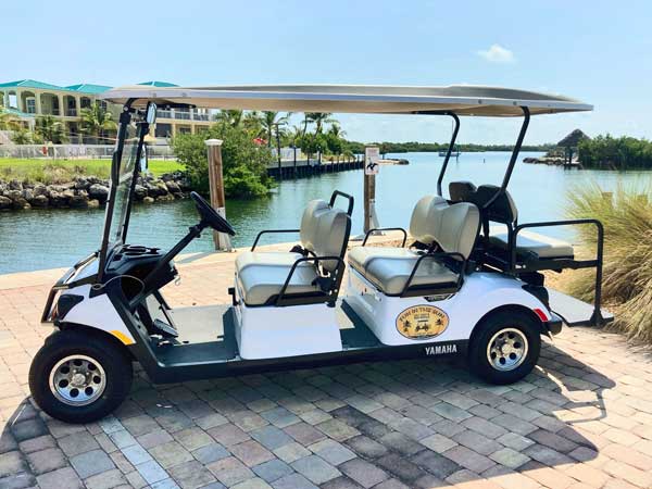 6 Seater Golf Cart Rentals
