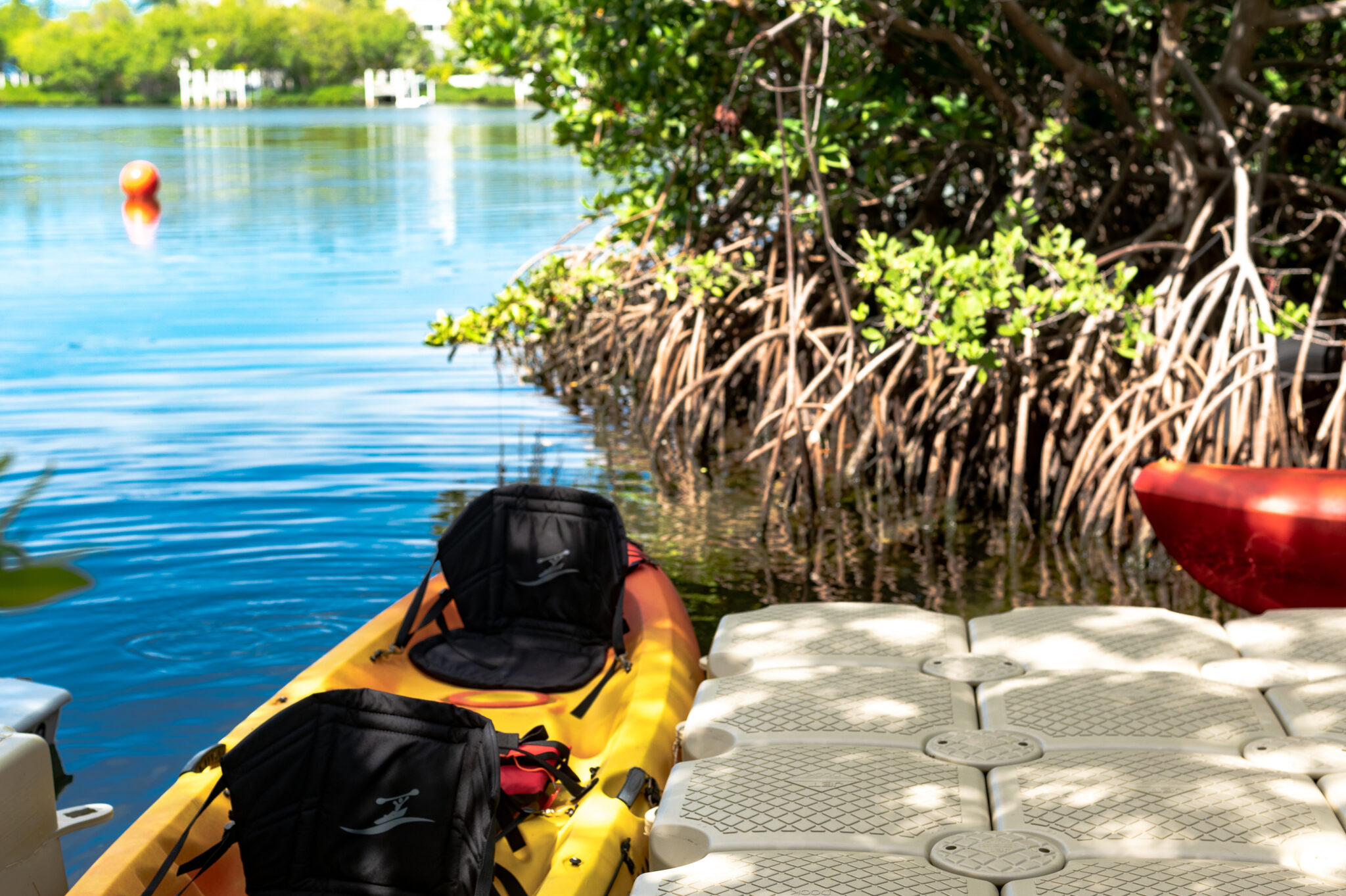 What to Pack for a Key West Paddleboard & Kayak Tour Fun In The Sun