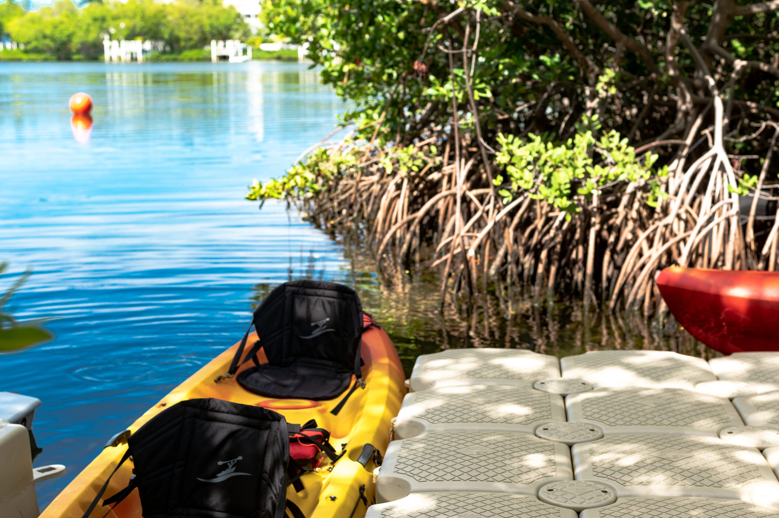 Kayak Rentals in Key West